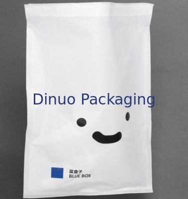 Custom Logo Durchsichtig Glaspapiertasche Umweltschonend Halbtransparenter Papierumschlag