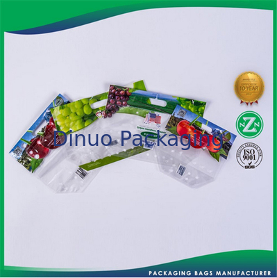 Recyclebare Plastikgewohnheit druckte Verpackentaschen für Nahrung/Kleider/Lebensmittelgeschäft