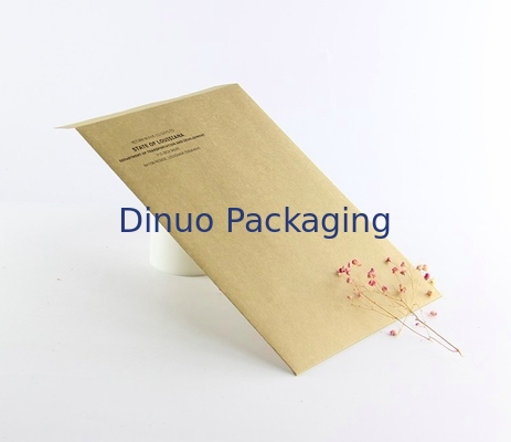 CMYK, das Kraftpapier-Kurier Packing Bags 9.5x14.5cm druckt