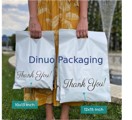 Versand-PET sackt Polywerbung ein, die Taschen beständiges kundengerechtes wässern